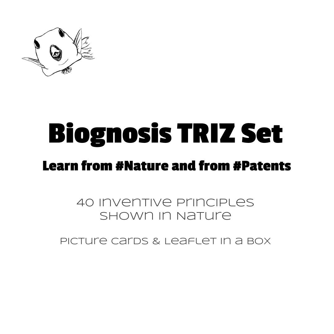 Contents of the Biognosis TRIZ Set - 40 picture cards and leaflet in box
