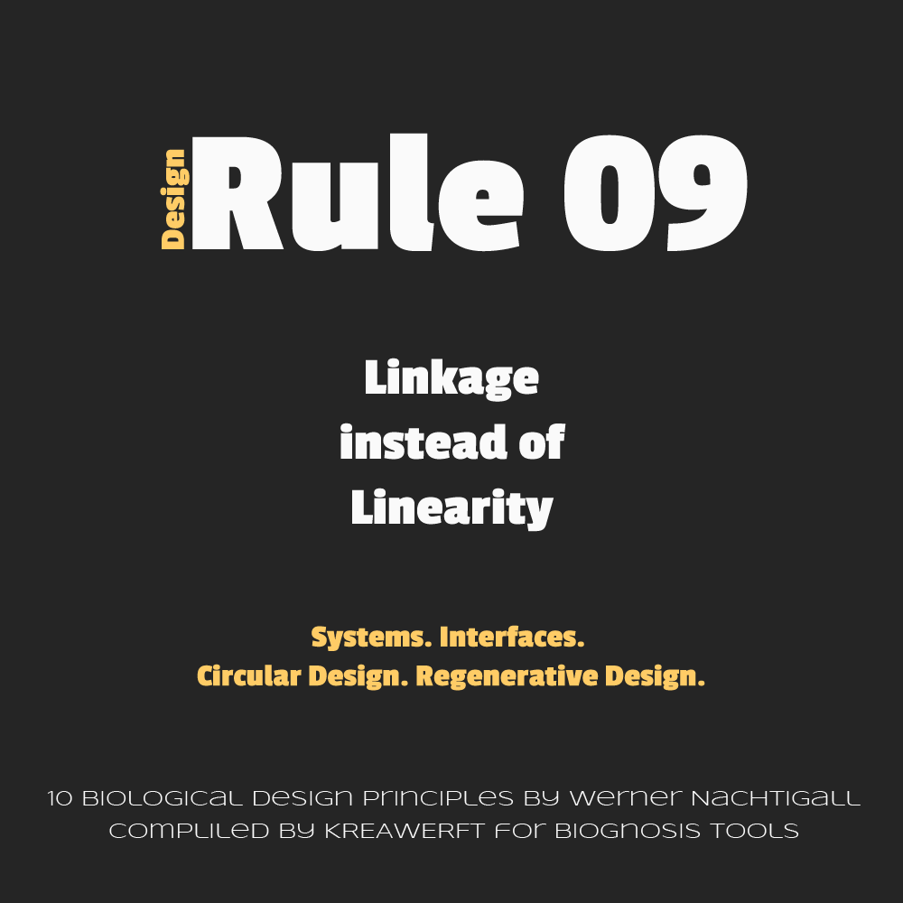 Design Rule 09 by Werner Nachtigall, Linkage instead of Linearity